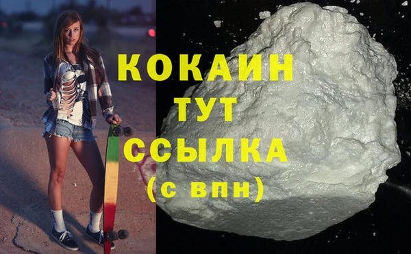 ALPHA PVP Няндома