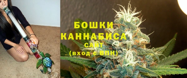 ALPHA PVP Няндома