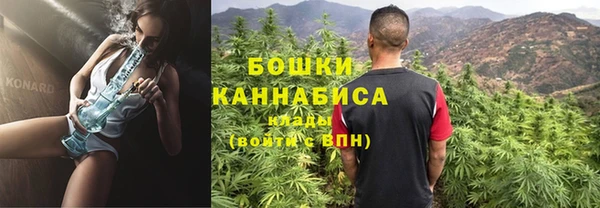 ALPHA PVP Няндома